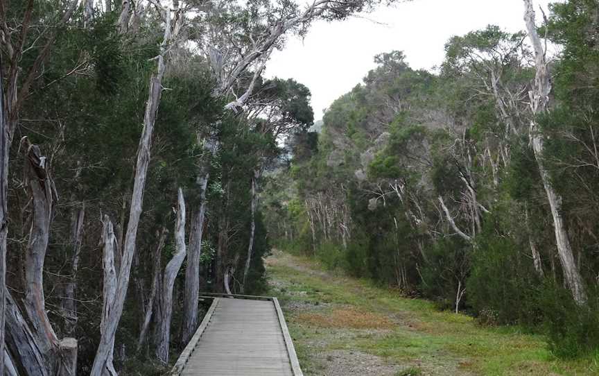 Balcombe Creek Estuary, Mount Martha, VIC