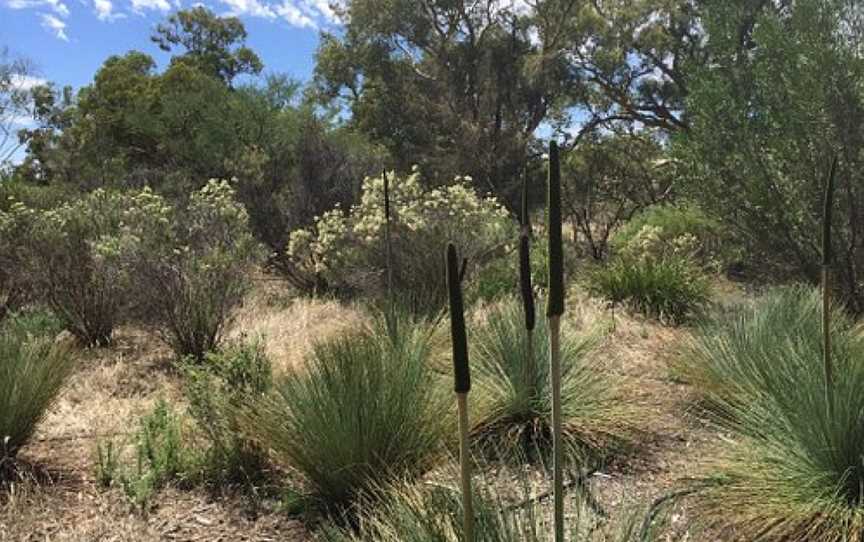 Powell Gardens, Quorn, SA