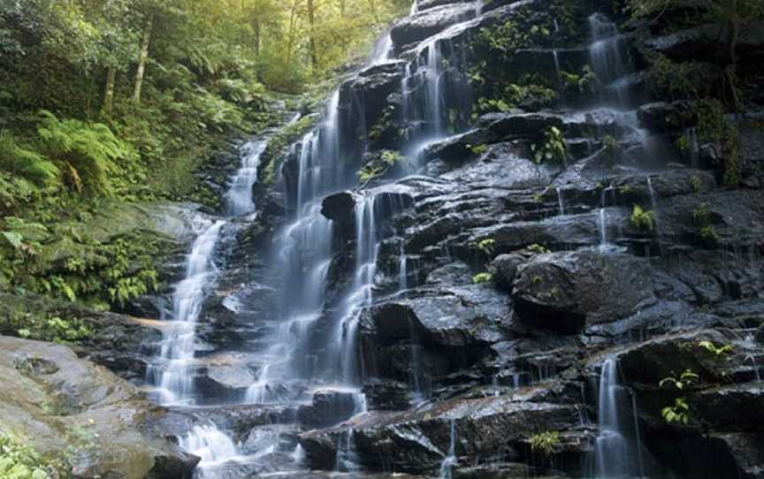 Valley of the Waters, Wentworth Falls, NSW