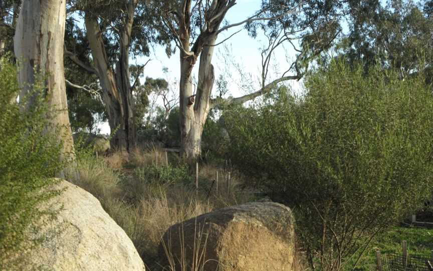 Westerfolds Park, Templestowe, VIC