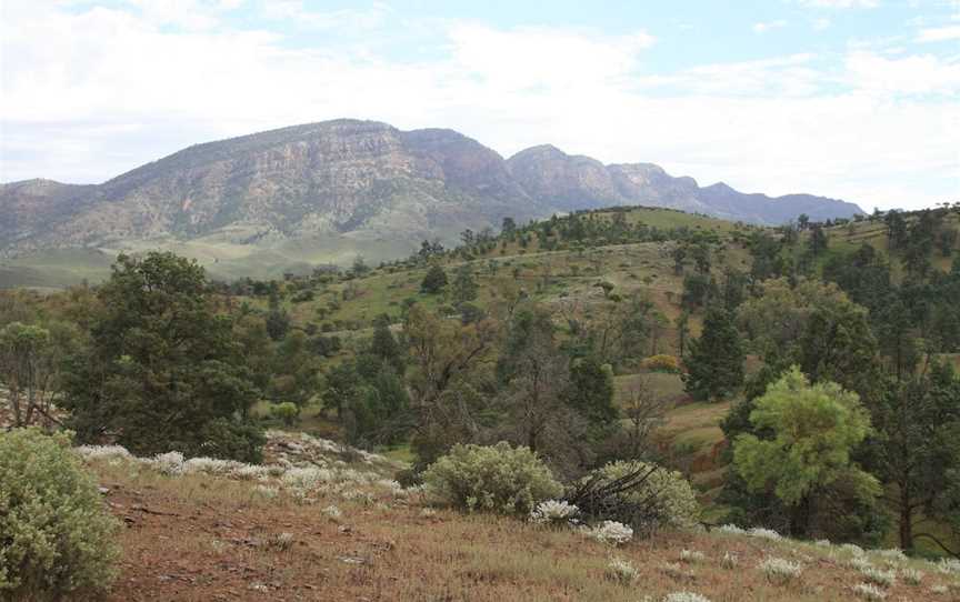 Brachina Gorge Geological Trail, Hawker, SA