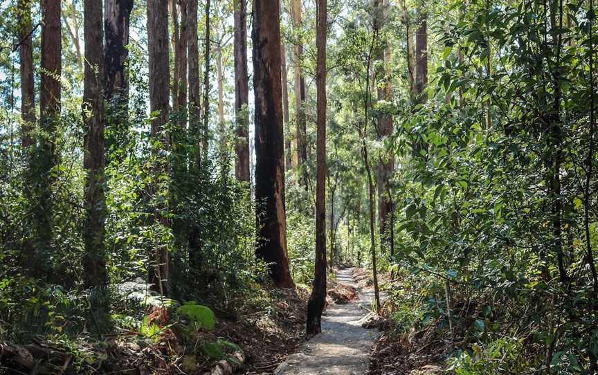 Coopernook Forest HQ, Moorland, NSW