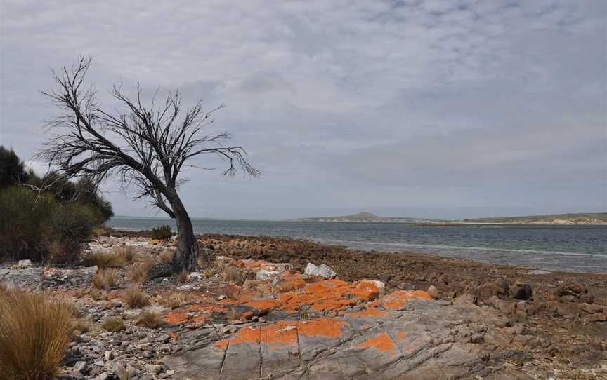 Drive Discovery South East Coast Flinders Island, Lady Barron, TAS