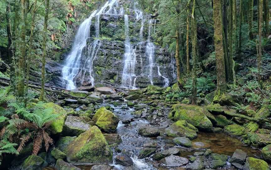 Franklin - Gordon Wild Rivers National Park, Derwent Bridge, TAS