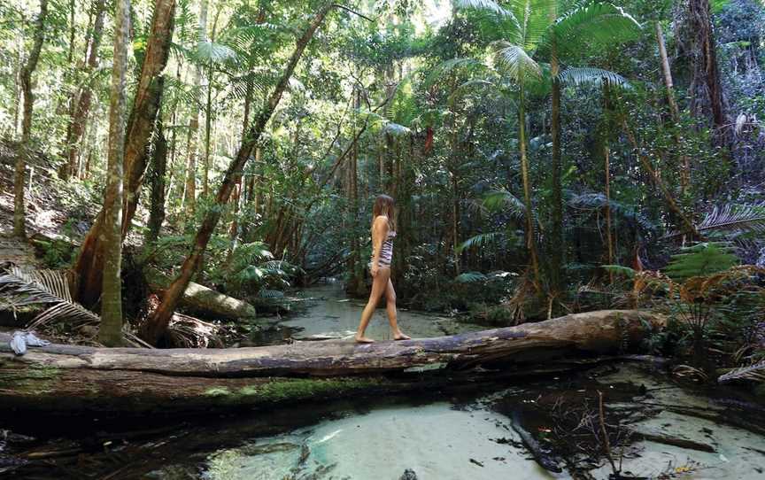 K'gari (Fraser Island), Great Sandy National Park, Fraser Island, QLD