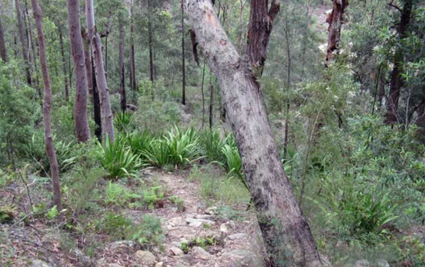 Frere's Crossing Bushwalk, Kentlyn, NSW