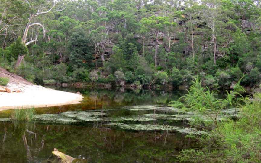 Frere's Crossing Bushwalk, Kentlyn, NSW