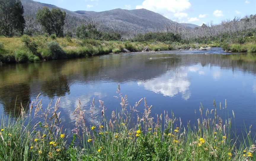 Thredbo River, Thredbo, NSW