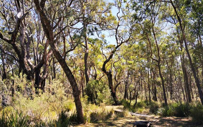 Kings Plains National Park, Gilgai, NSW