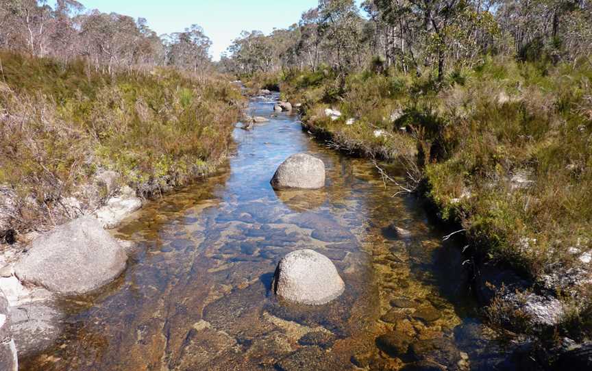 Gibraltar Range National Park, Gibraltar Range, NSW