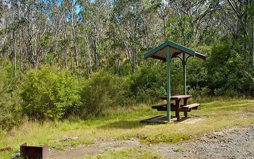 Gloucester Tops picnic area, Gloucester Tops, NSW