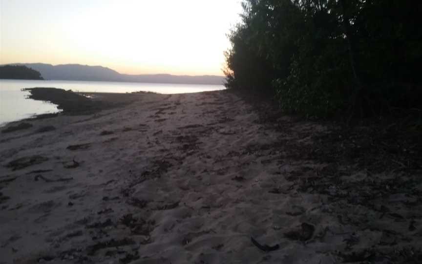 Goold Island National Park, Cardwell, QLD