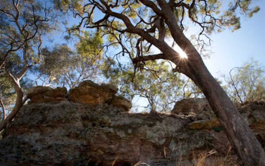 Goulburn River National Park, Uarbry, NSW