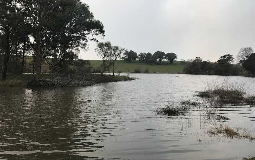 Birdwatching at Jean Todkill Park in Crookwell, Crookwell, NSW