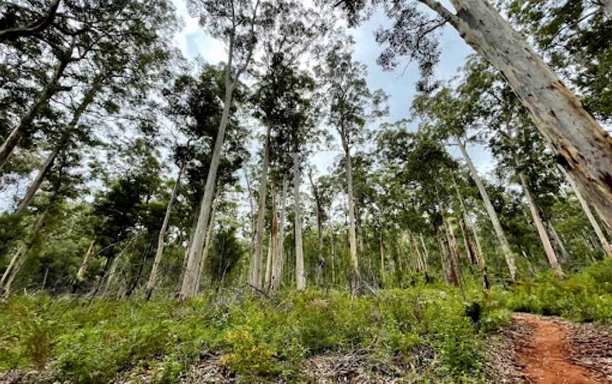 Four Aces, Manjimup, WA