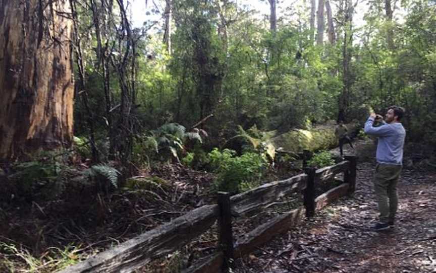 Four Aces, Manjimup, WA