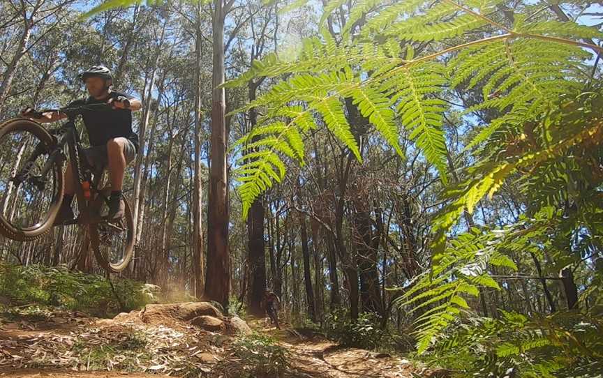 Olinda and Grey Gums Track, Silvan, VIC