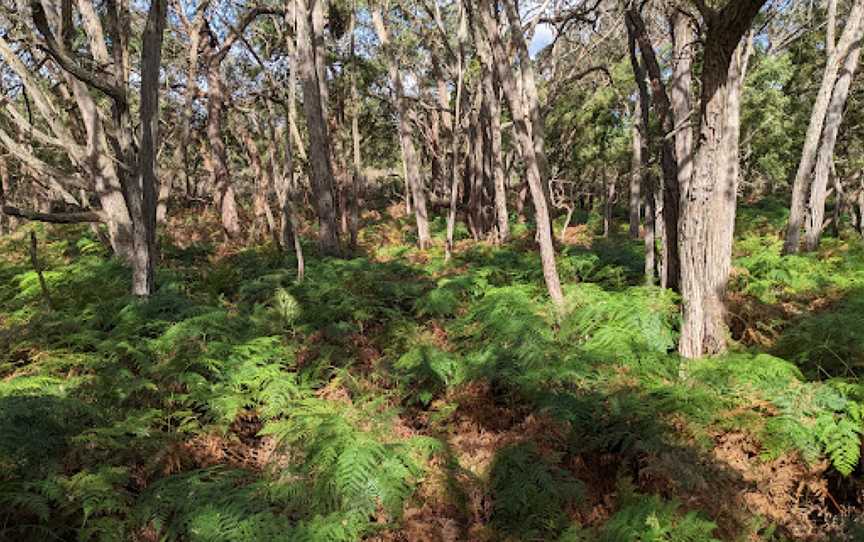 Telford Scrub Conservation Park, Mingbool, SA