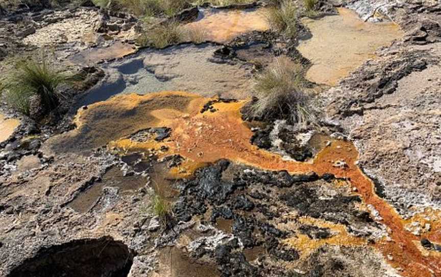 Talaroo Hot Springs Soaking Pools, Mount Surprise, QLD