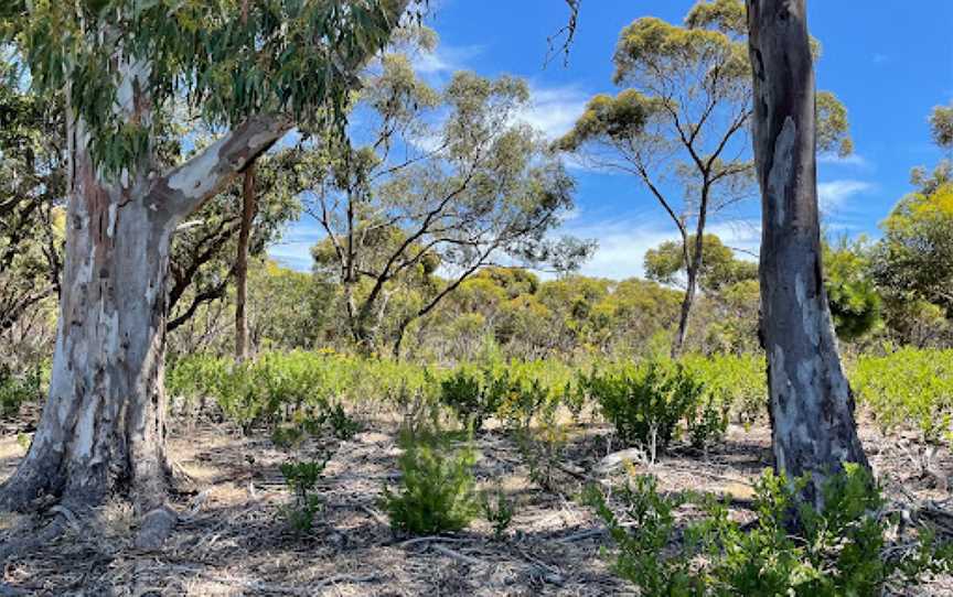 Happy Valley Reservoir Reserve, Happy Valley, SA