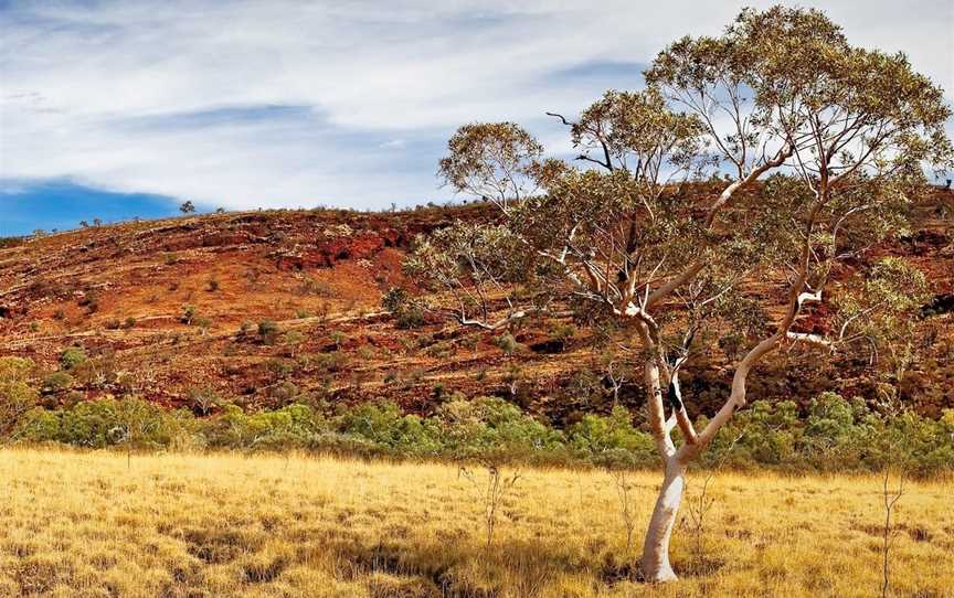 Hamersley Range, Hamersley Range, WA