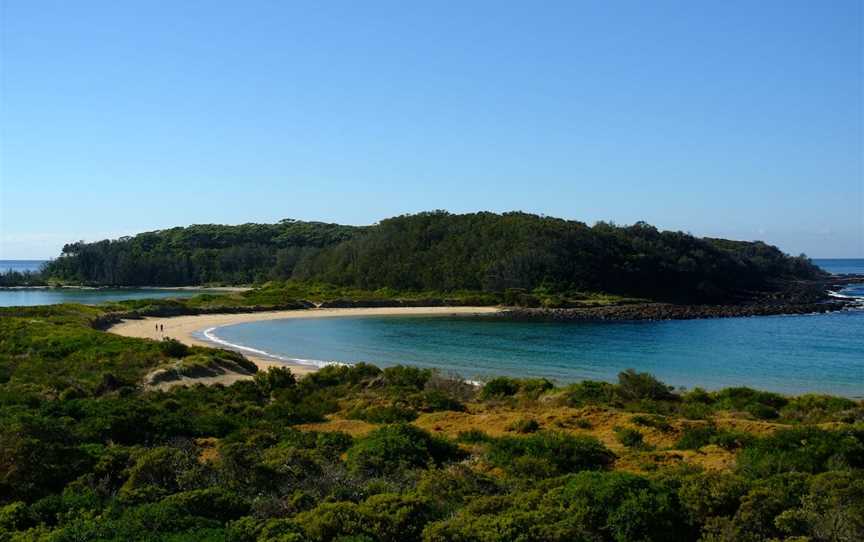 Snorkelling Broulee Island, Broulee, NSW