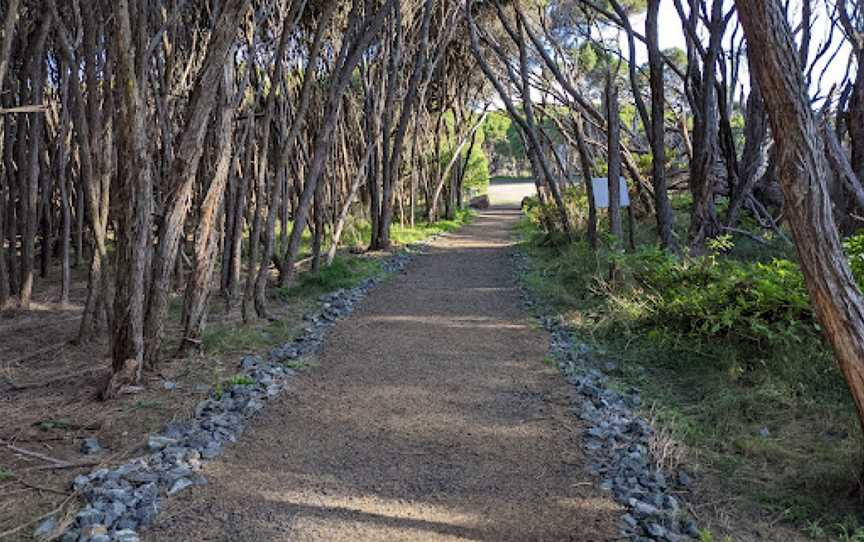 Tura Headland Walking Track, Tura Beach, NSW