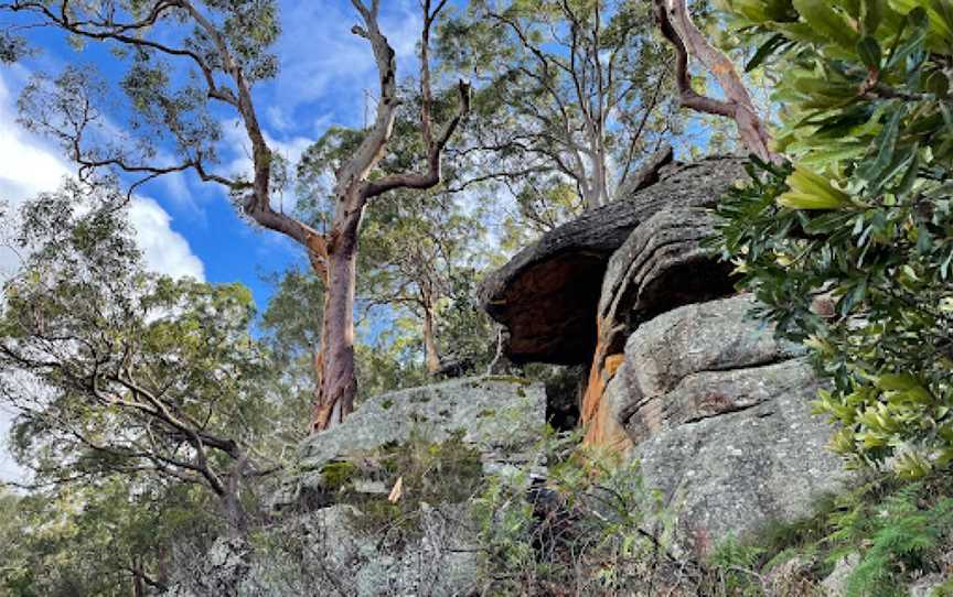 Ridge Walking Track, Picnic Point, NSW