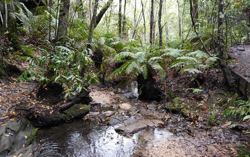 South Lawson Waterfall Circuit, Lawson, NSW