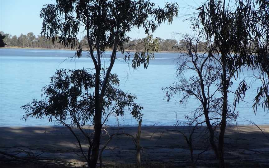 Yanga Lake Red Gum Bird Hide, Yanga, NSW