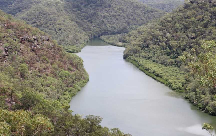 Berowra Valley National Park, Hornsby Heights, NSW