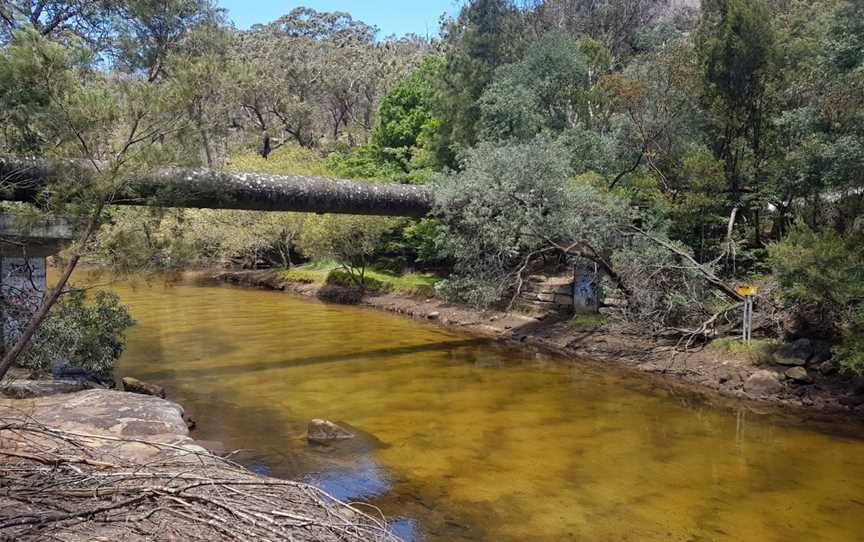 Pipeline and Bungaroo Tracks to Stepping Stones Crossing, St Ives, NSW