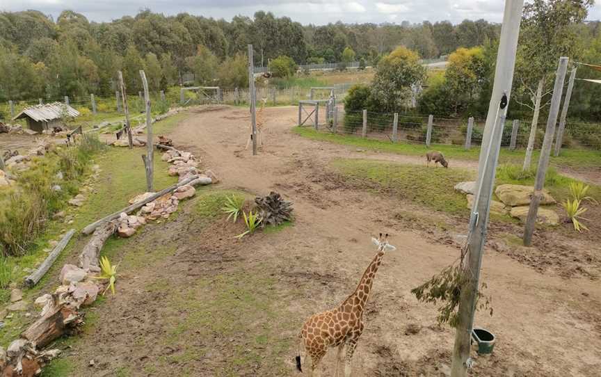 Bungarribee Park, Bungarribee, NSW