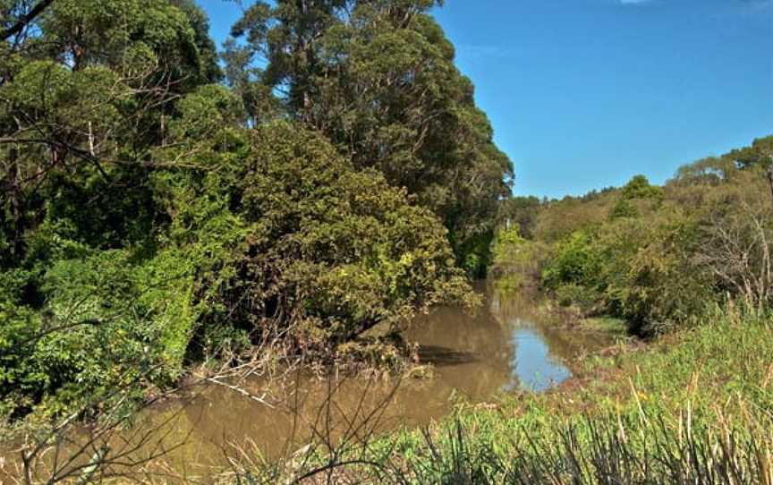 Wolli Creek Walking Track, Earlwood, NSW