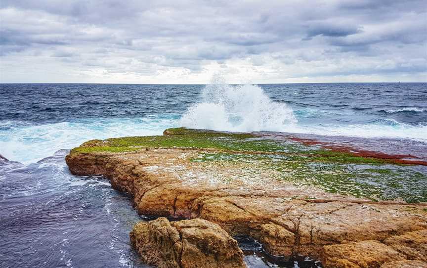 Jervis Bay Marine Park, Jervis Bay, NSW