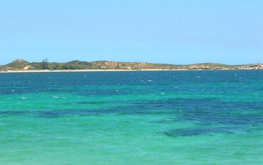 Penguin Island, Shoalwater, WA