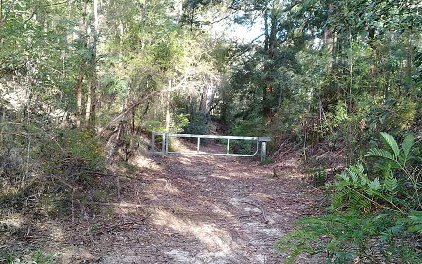 Jilliby State Conservation Area, Jilliby, NSW