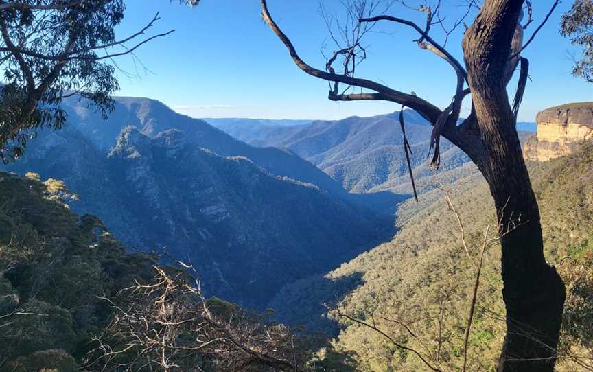 Kanangra-Boyd lookout, Kanangra, NSW