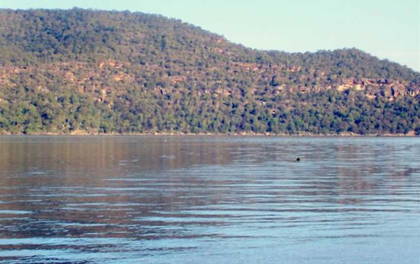 Brisbane Water National Park, Kariong, NSW