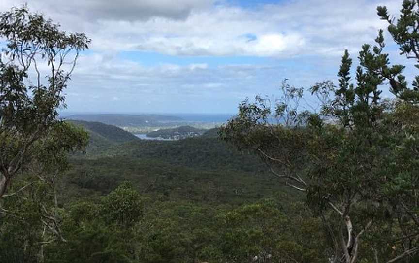 Brisbane Water National Park, Kariong, NSW