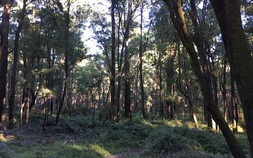 Stringybark Historical Reserve, Archerton, VIC