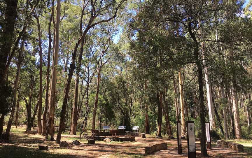 Stringybark Historical Reserve, Archerton, VIC