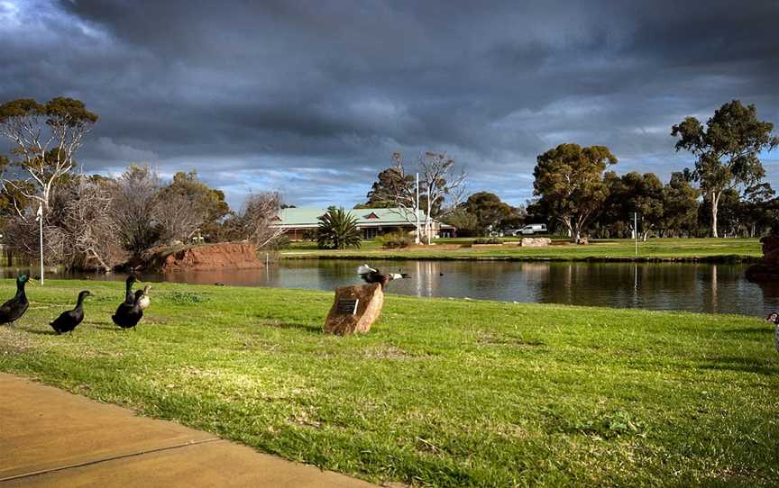 Roy Little Park Merredin, Merredin, WA