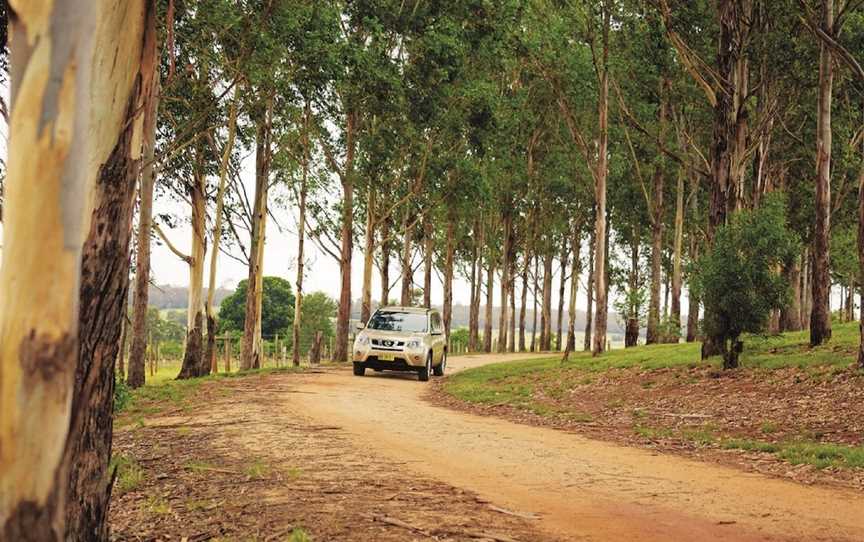 Kingaroy Lions Park, Kingaroy, QLD