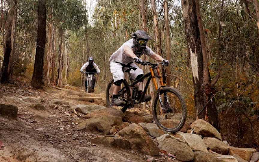 Kinglake National Park, Kinglake West, VIC