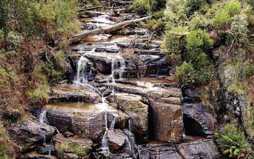 Kinglake National Park, Kinglake West, VIC