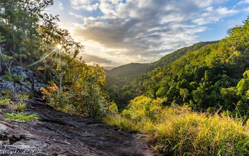 Kondalilla National Park, Montville, QLD