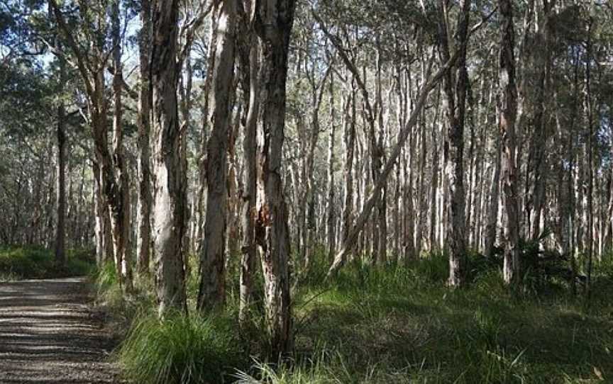 Googik Heritage Walking Track, Port Macquarie, NSW