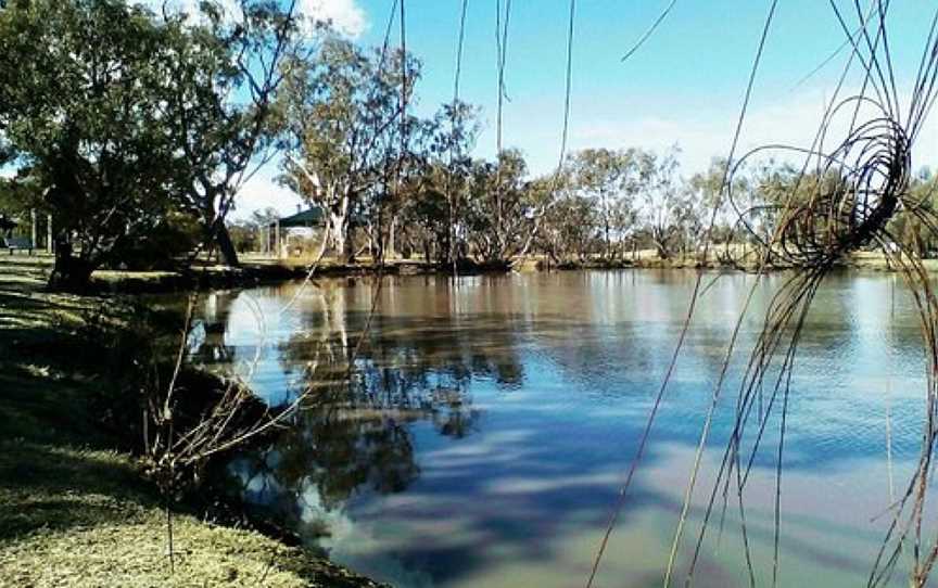 Yelarbon Lagoon, Yelarbon, QLD