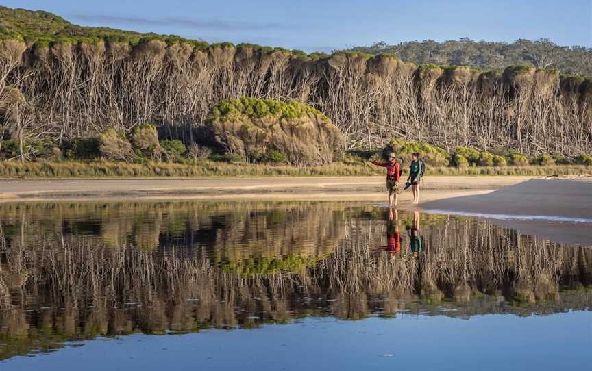 Wharf to Wharf Walk, Merimbula, NSW